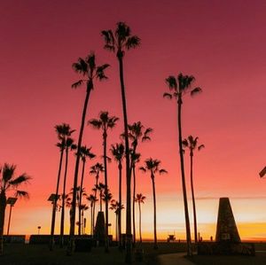 Meet your Posher, Jaden